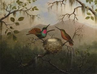Martin Johnson Heade - Two Hummingbirds At A Nest