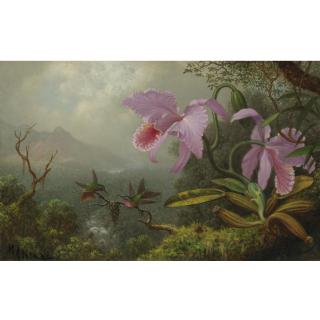 Martin Johnson Heade - Two Sun Angel Hummingbirds On A Branch Near Two Orchids
