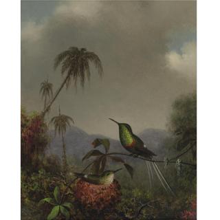 Martin Johnson Heade - Two \