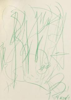 Martin Kippenberger - Die Welt des grünen Kanarienvogels - 186 reproduzierte Zeichnungen.