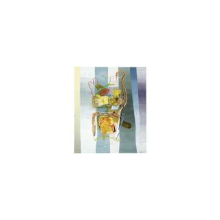 Martin Kippenberger - Fussrückenzone Von Martin Kippenberger