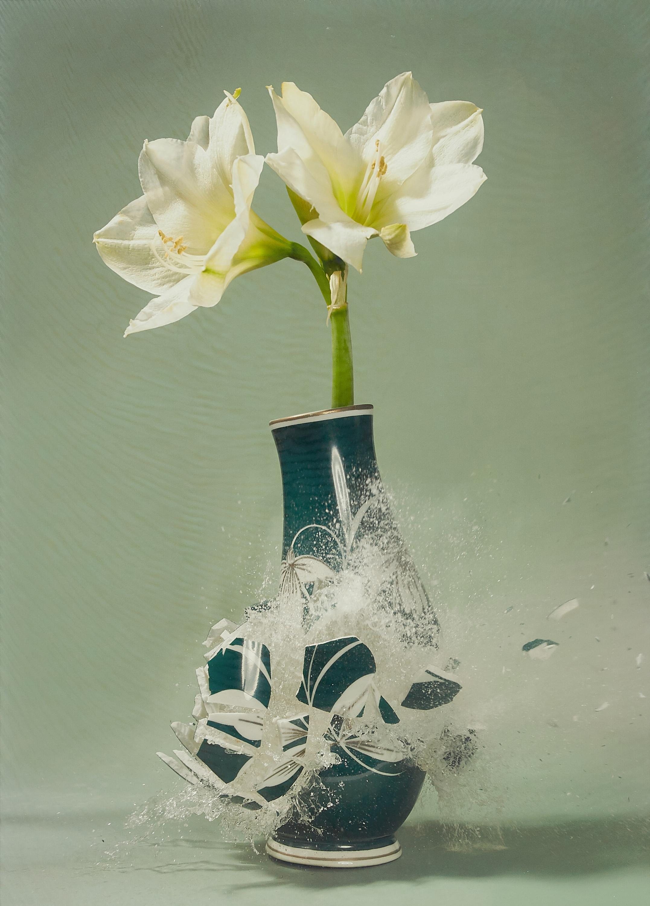 Martin Klimas - Ohne Titel (Amaryllis II)