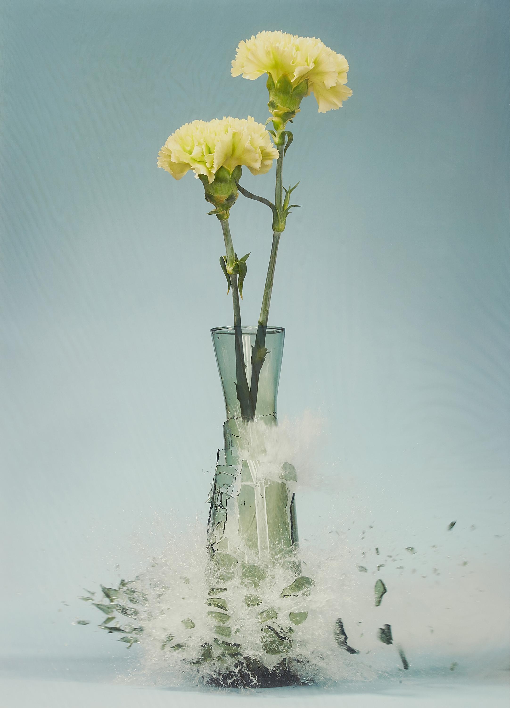 Martin Klimas - Ohne Titel (Dianthus)