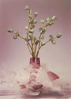 Martin Klimas - Ohne Titel (Eucalyptus)