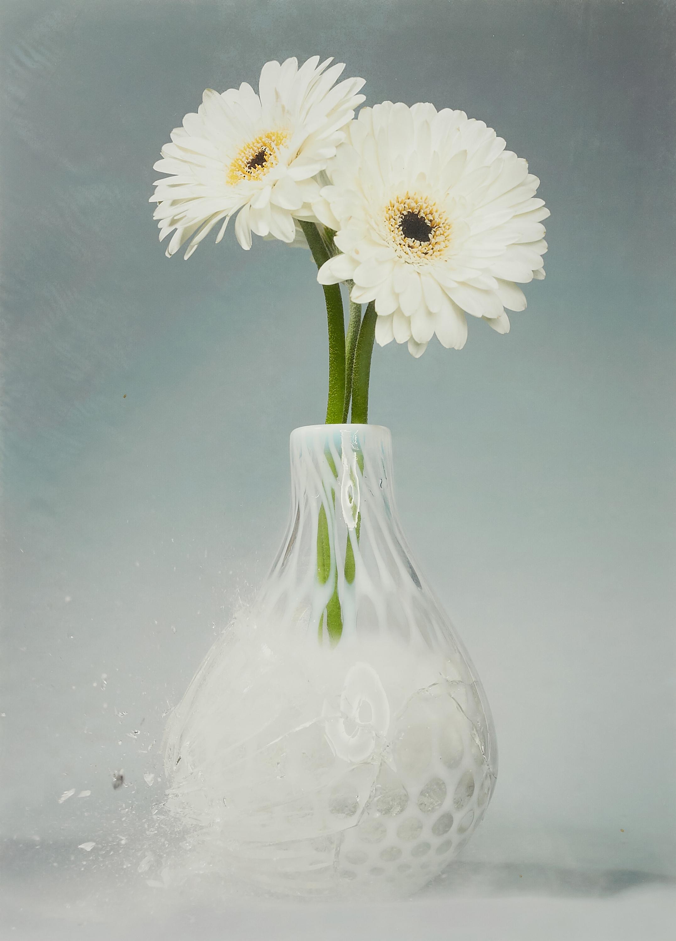 Martin Klimas - Ohne Titel (Gerbera)