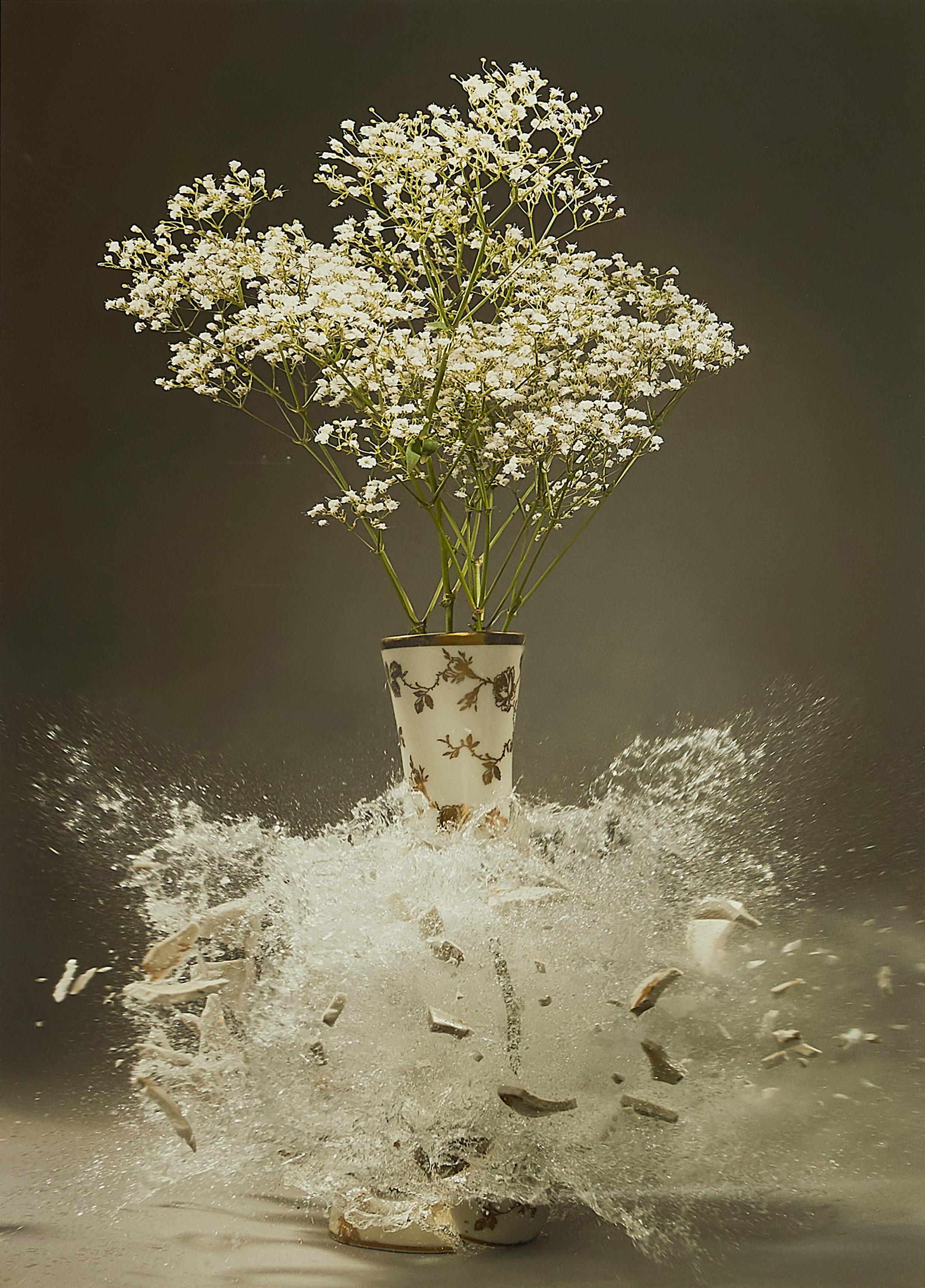 Martin Klimas - Ohne Titel (Gypsophila paniculata L.).