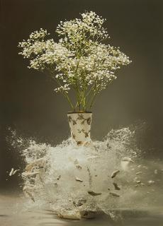 Martin Klimas - Ohne Titel (Gypsophila paniculata L.).