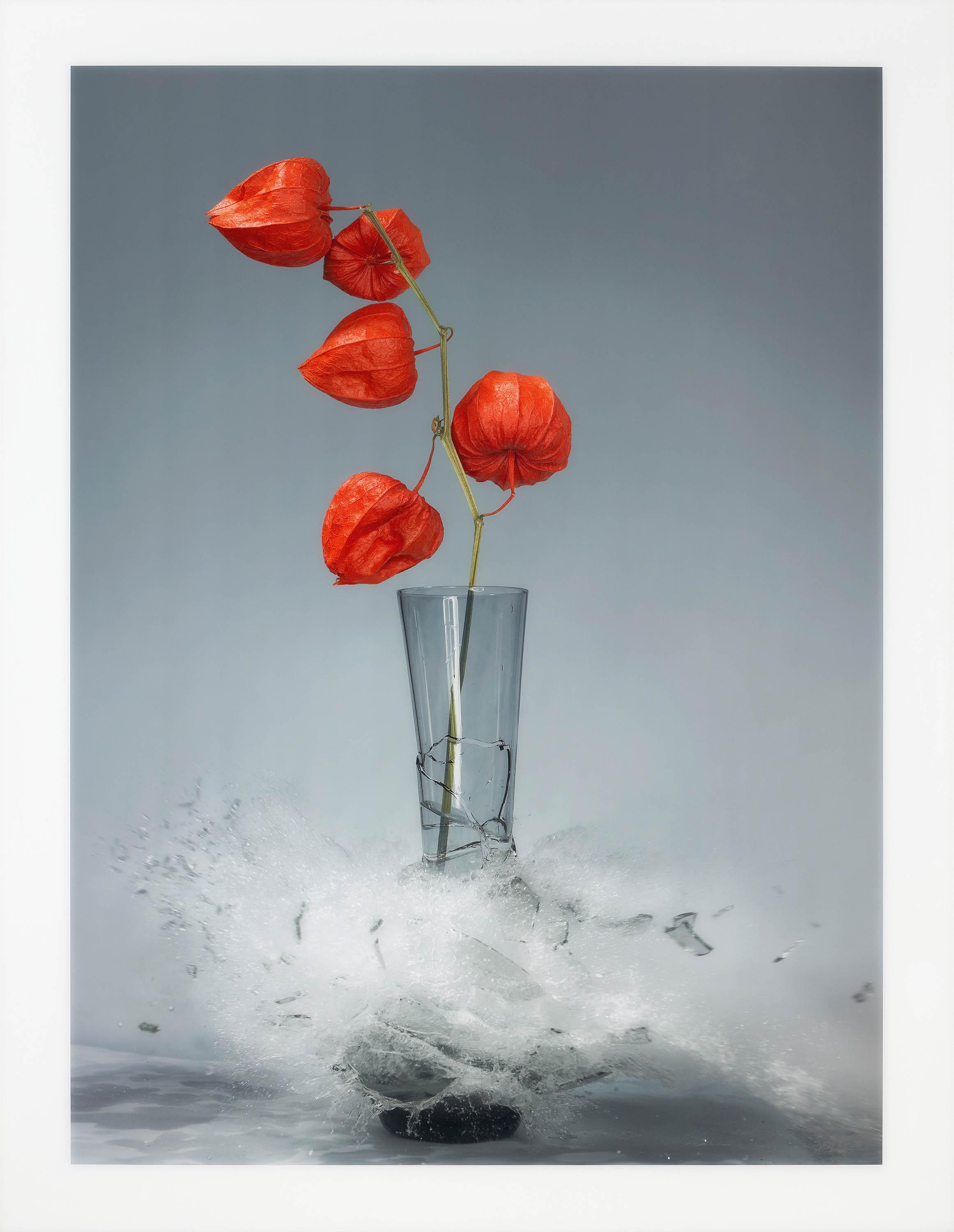 Martin Klimas - Ohne Titel (Physalis)