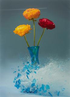 Martin Klimas - Ohne Titel (Ranunculus asiaticus).