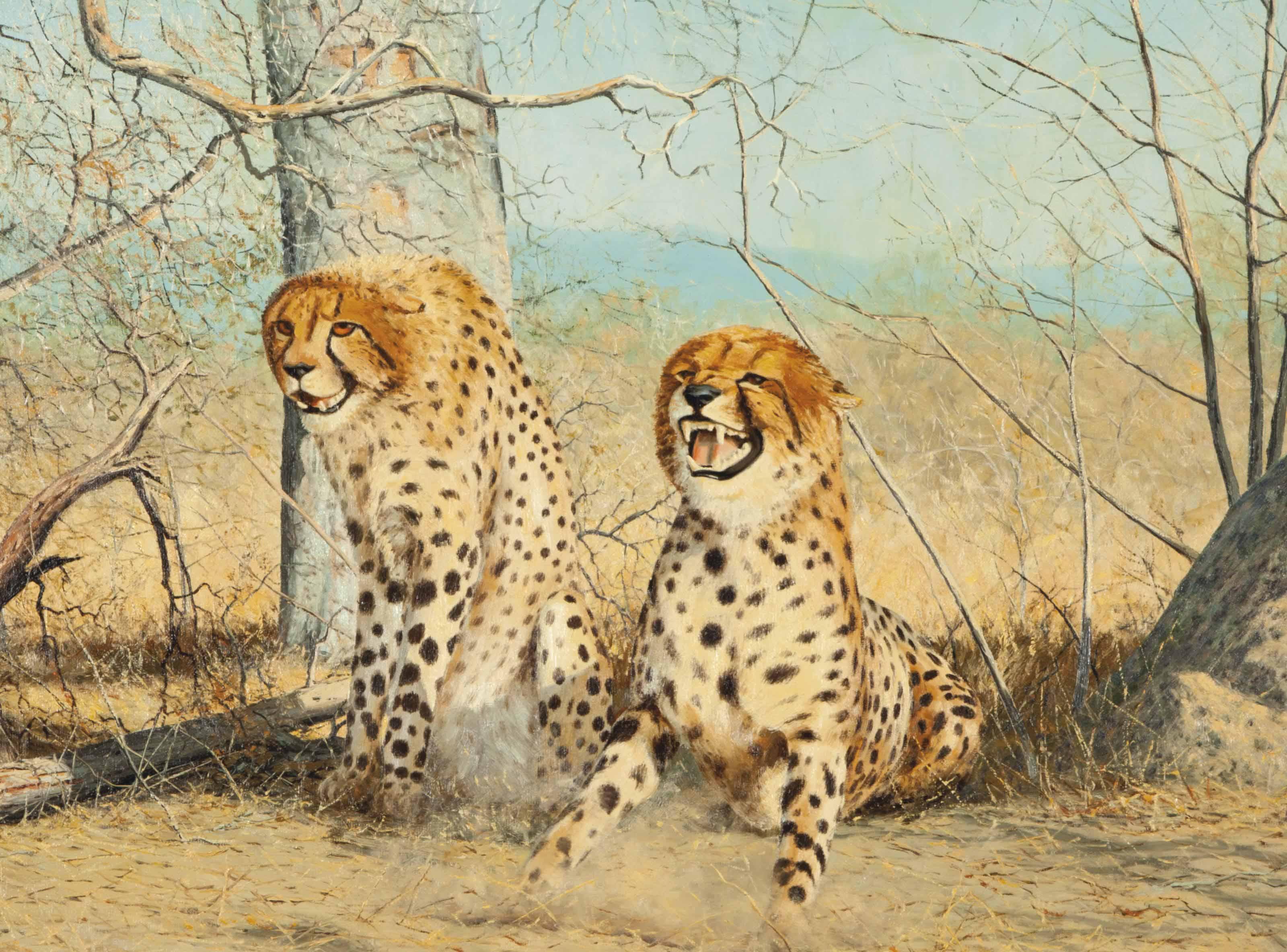 Martin Koch - Tugetala, Two Cheetahs On Guard