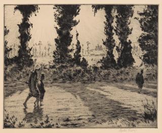 Martin Lewis - Shadows on the Road (Gotemba, Japan)