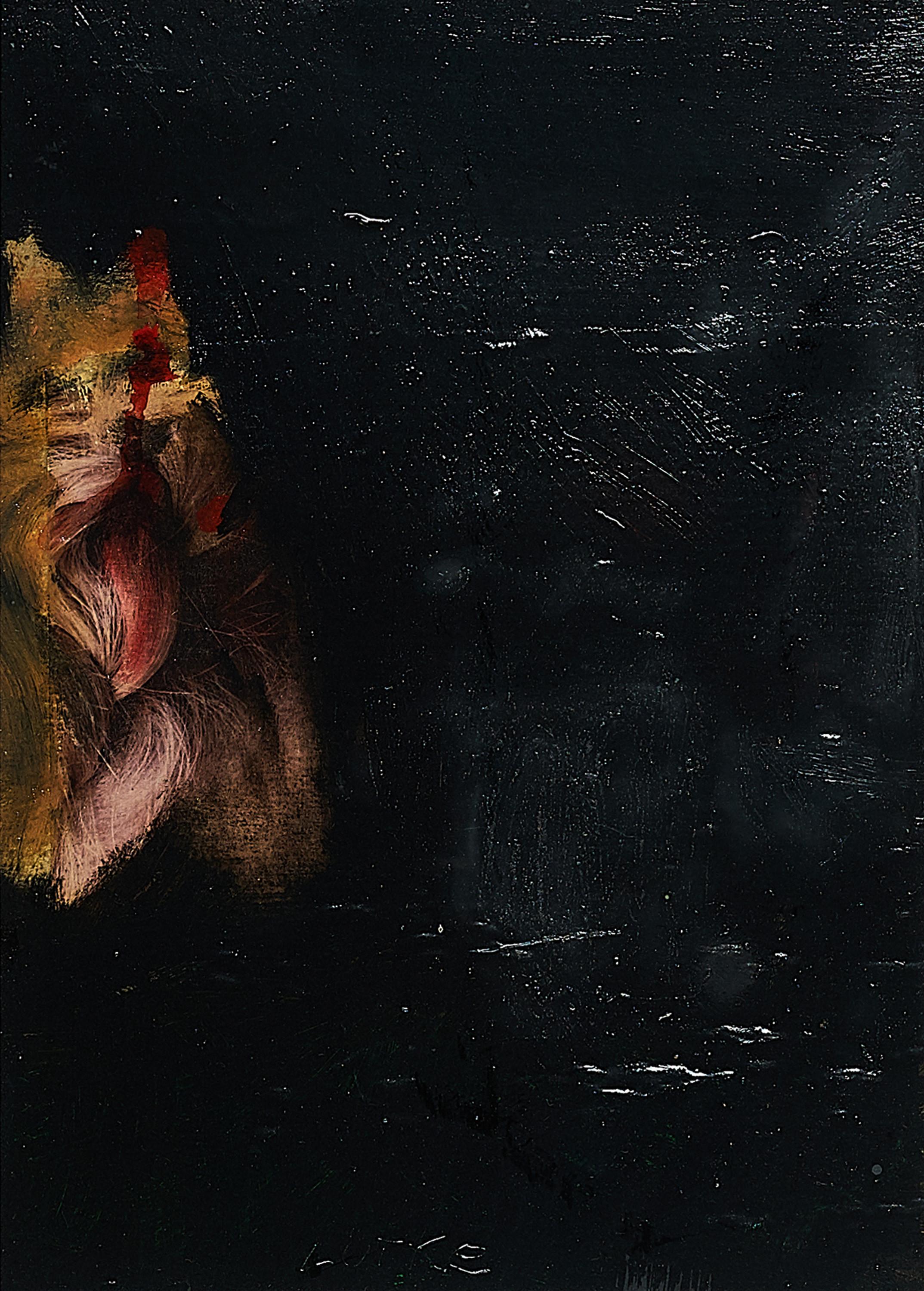 Martin Lütke - Yorkshire terrier