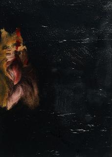 Martin Lütke - Yorkshire terrier