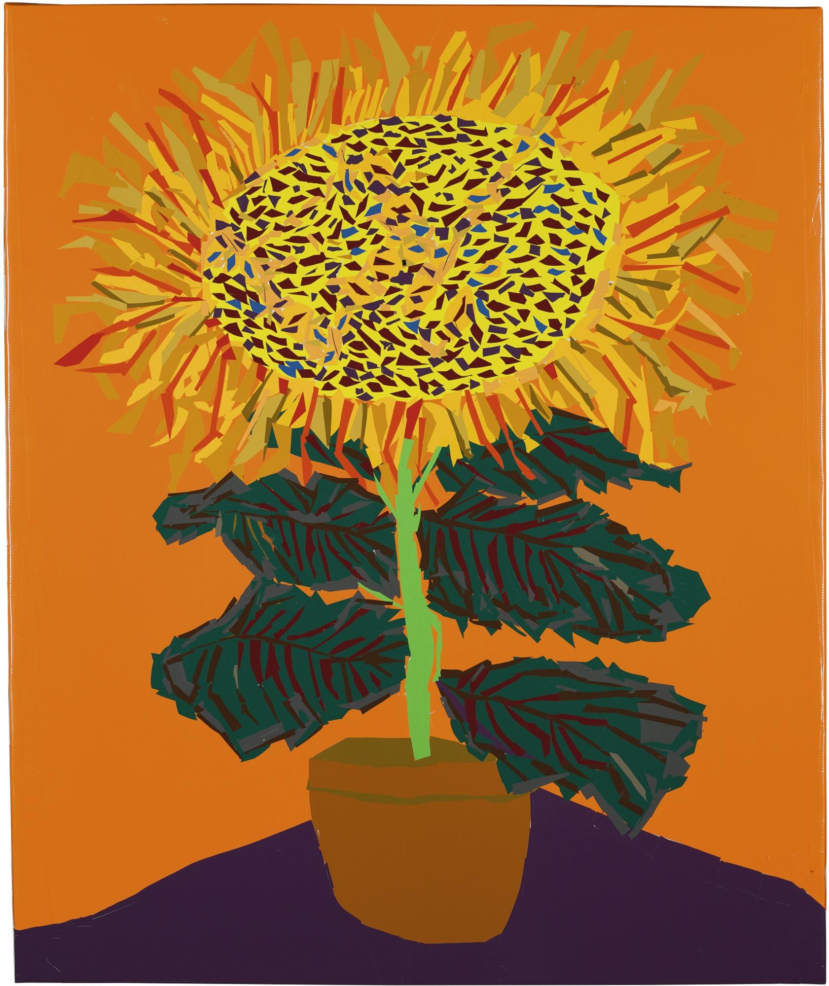 Martin Maloney - Sunflower