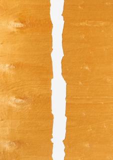 Martin Noel - »Bienefeld«.