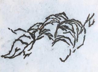 Martin Noel - Jacopo Robusti.