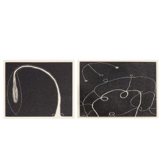 Martin Puryear - Cane