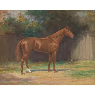 Martin Stainforth - British eurythmic