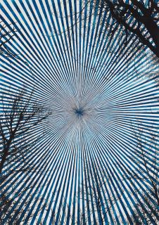 Martina Müntzing - \