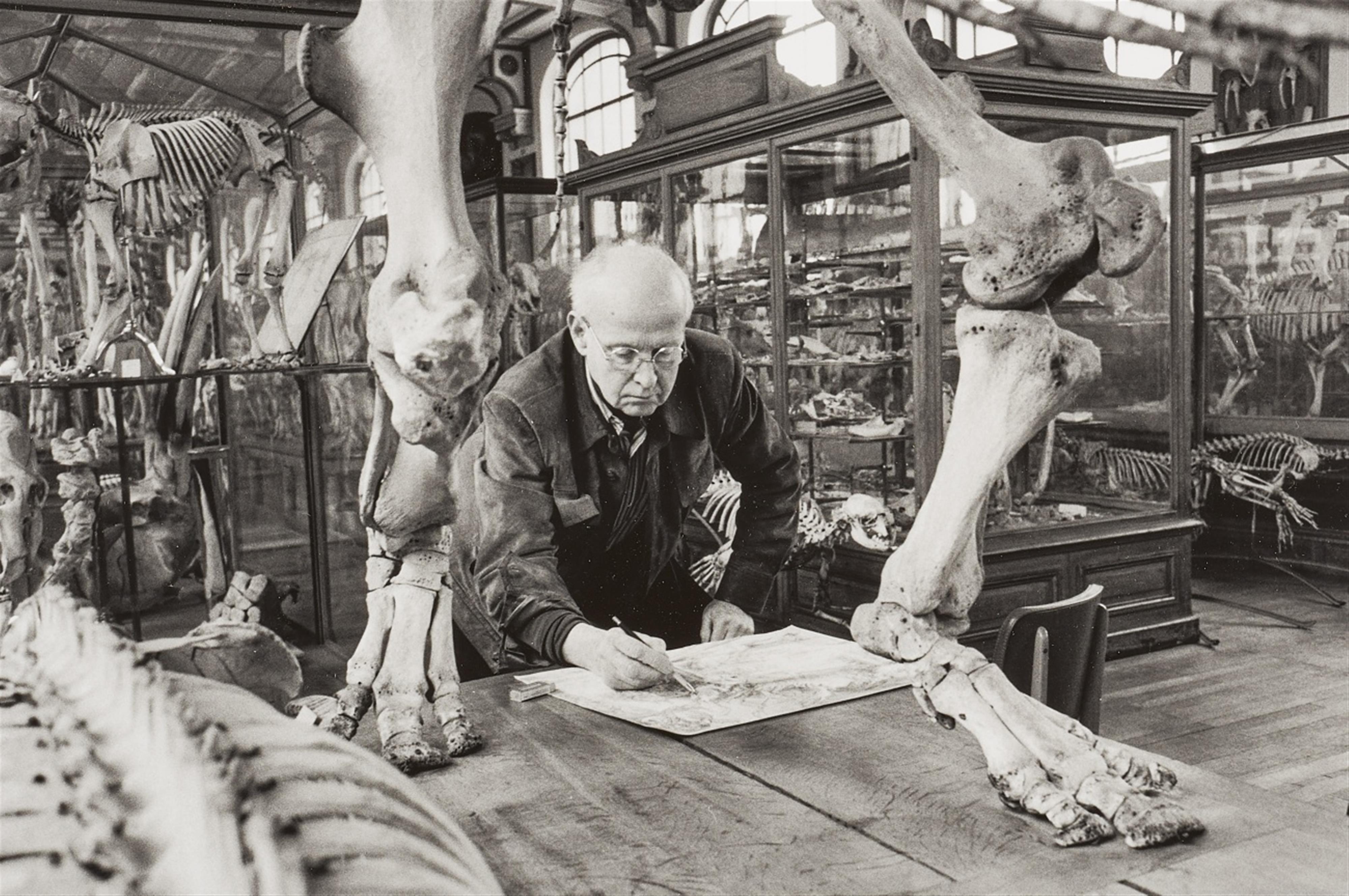 Martine Franck - Henri Cartier-Bresson beim Zeichnen, Muséum d\'histoire naturelle, Paris