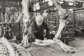 Martine Franck - Henri Cartier-Bresson beim Zeichnen, Muséum d\'histoire naturelle, Paris