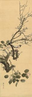 Maruyama Oshin - Camelia and small birds on plum branch