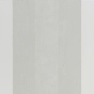 Mary Corse - Untitled (White Inner Band)
