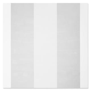 Mary Corse - Untitled (White Inner Band)