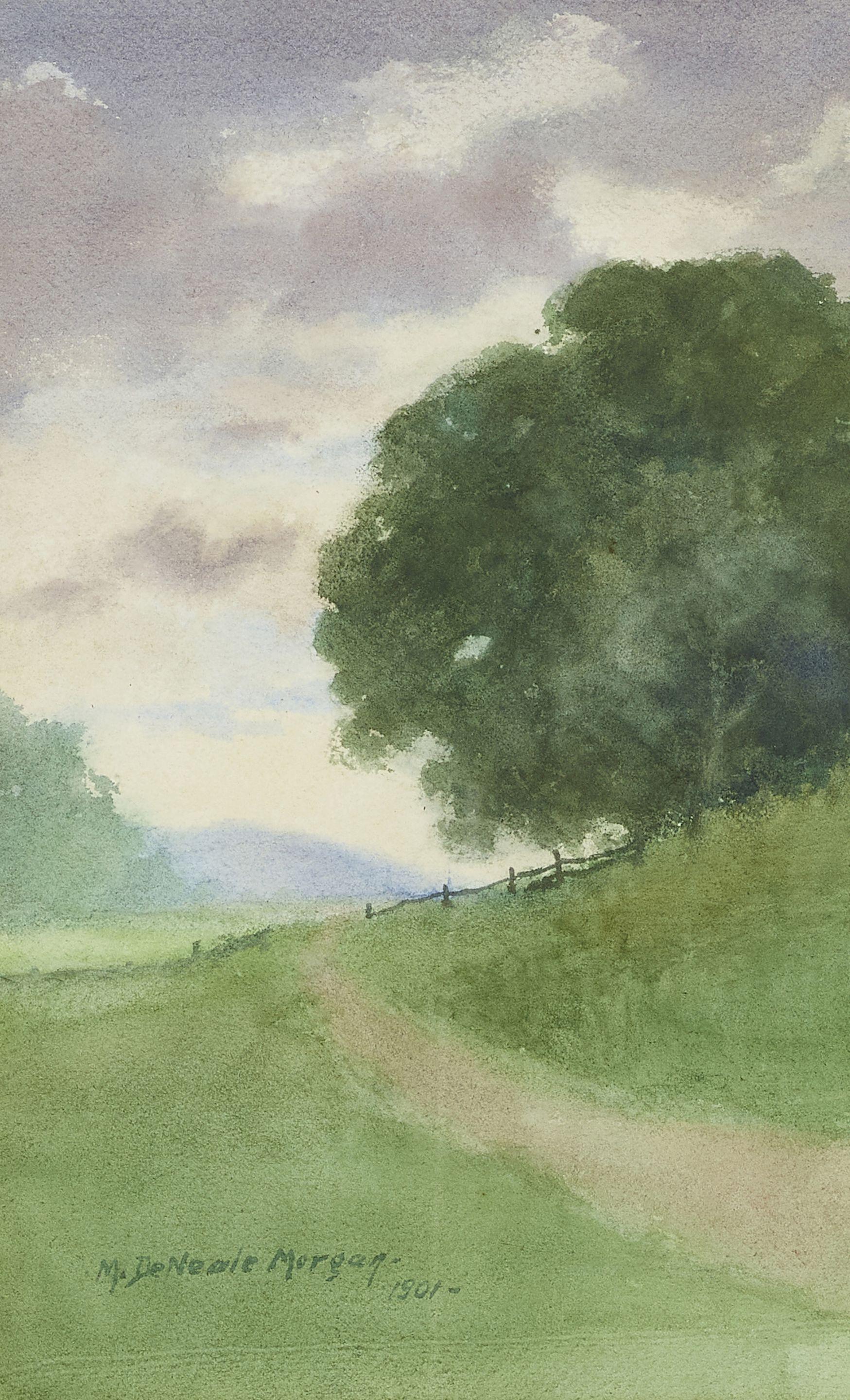 Mary DeNeale Morgan - Vanishing Path