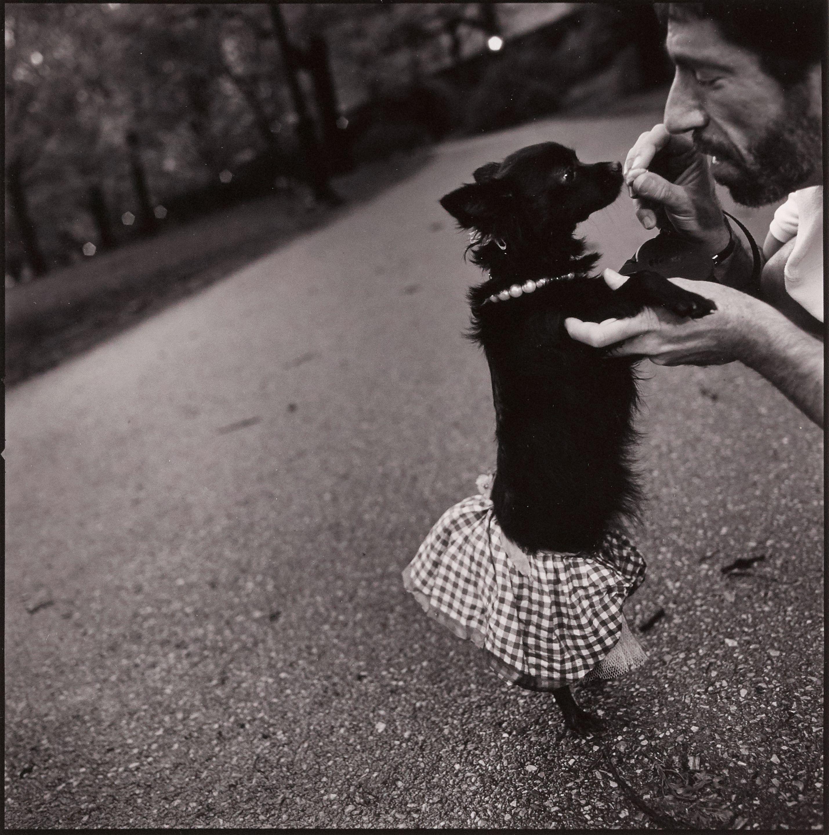 Mary Ellen Mark - Paws Walk