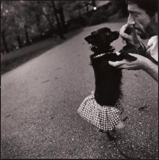 Mary Ellen Mark - Paws Walk