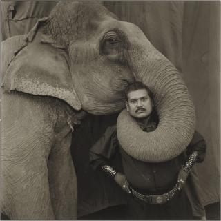 Mary Ellen Mark - \'Ram Prakash Singh with His Elephant Shyama, Great Golden Circus, Ahmedabad, India\'