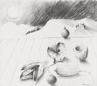 Mary Fedden R.A. - Barbara\'s Seeds
