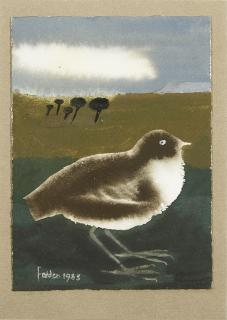 Mary Fedden, R.A. - Bird