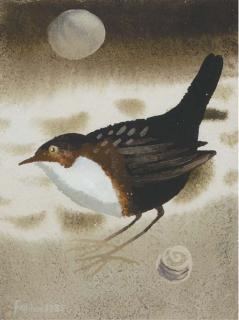 Mary Fedden, R.A. - Thrush