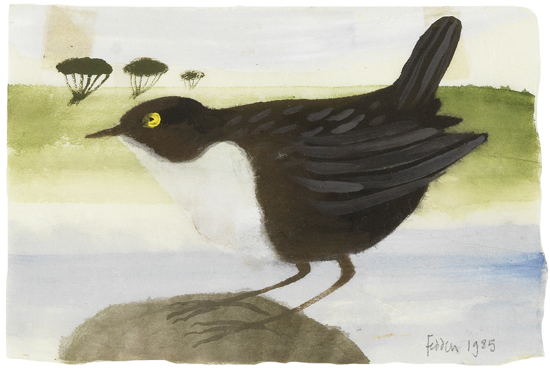 Mary Fedden R.A. - White Throated Dipper