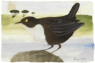 Mary Fedden R.A. - White Throated Dipper