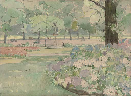 Mary McCrossan - Hydrangeas in Hyde Park