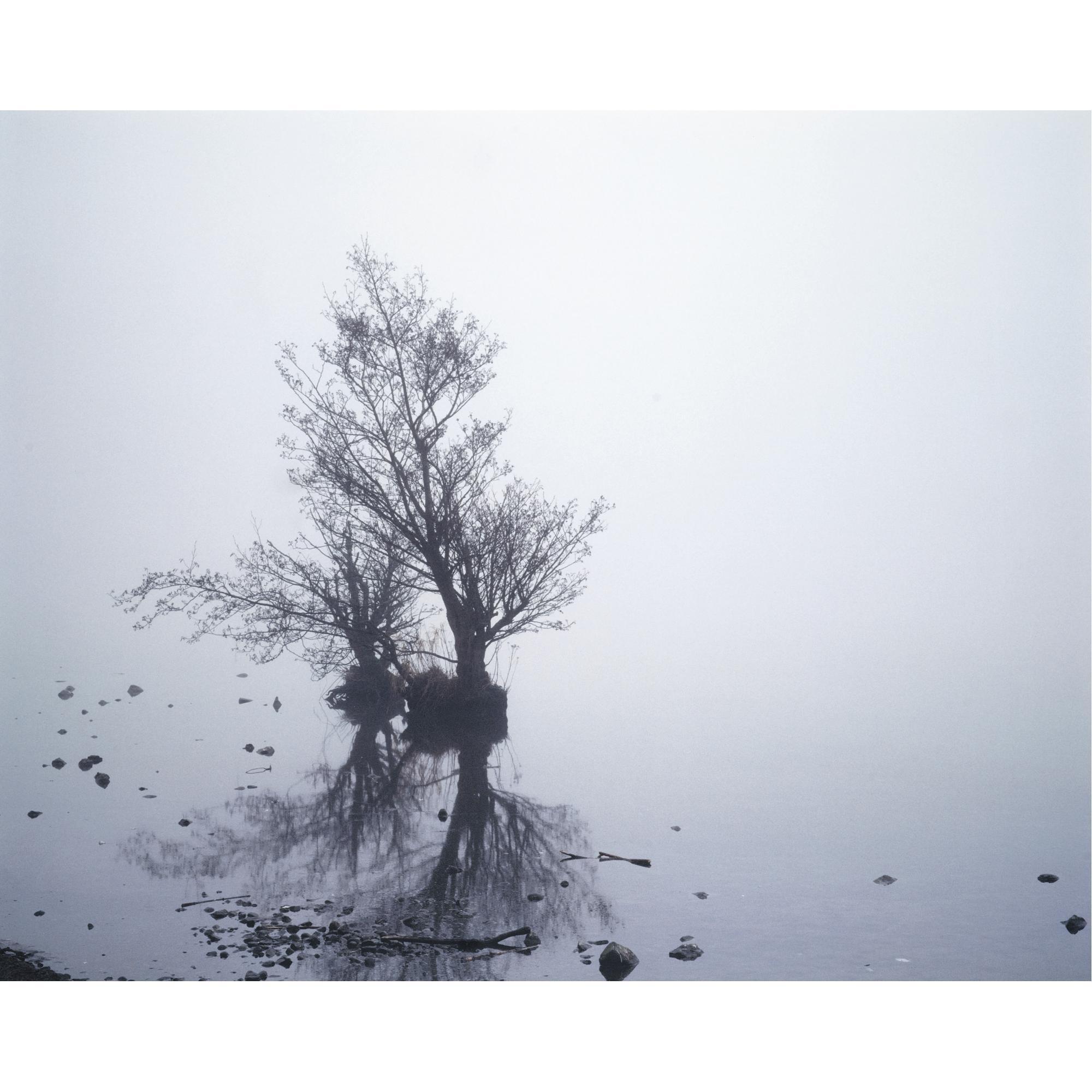 Mary McIntyre - Lough V