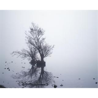 Mary McIntyre - Lough V