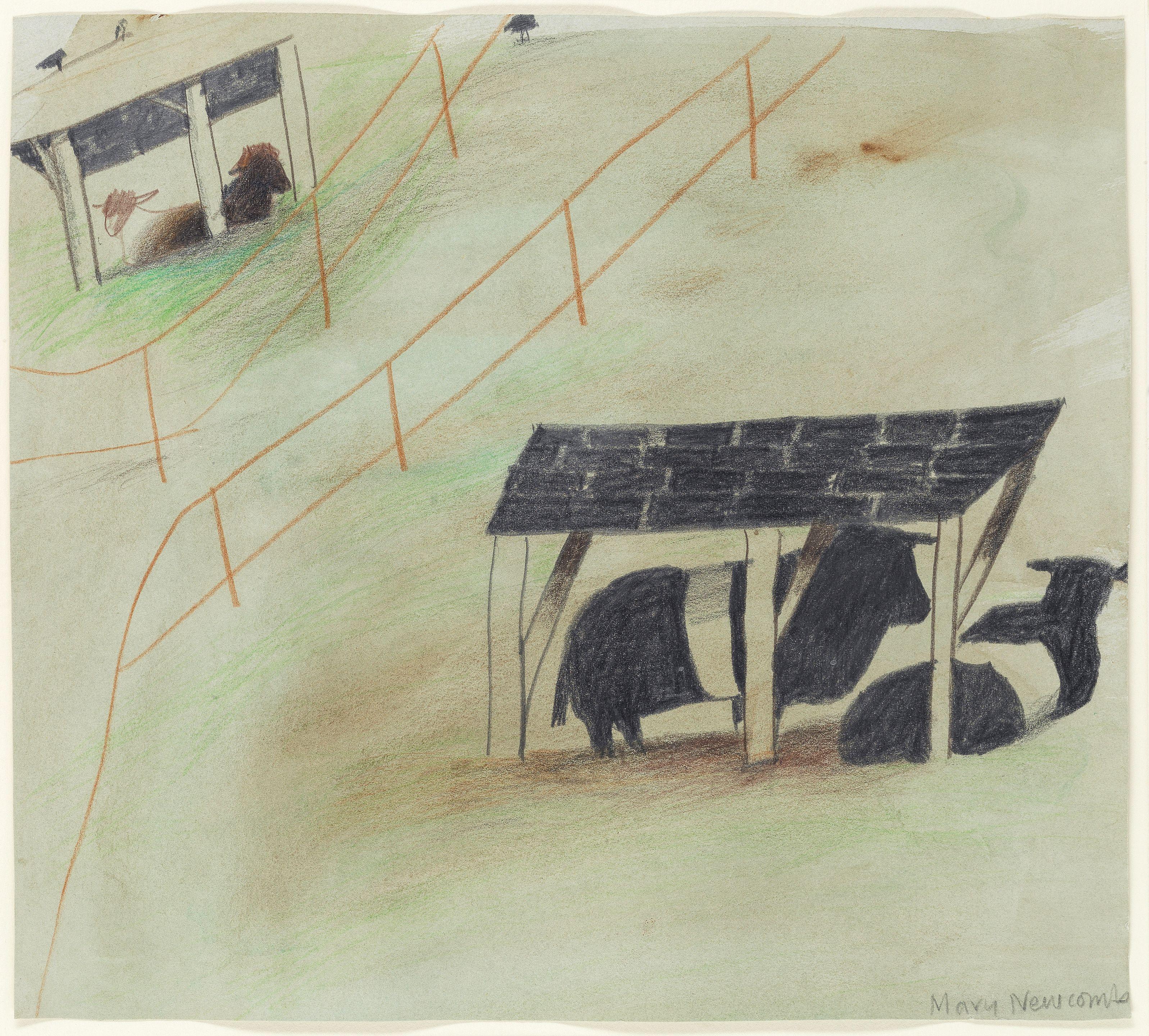 Mary Newcomb - Rare Breeds Park