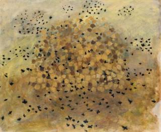 Mary Newcomb - Rooks Disturbed