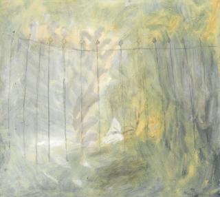 Mary Newcomb - Shadow of a Small Rare Plant, The Botanic Gardens