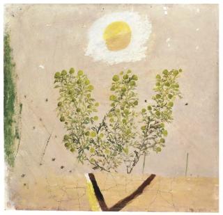 Mary Newcomb - Stinking Mayweed and the Fried Egg Sun