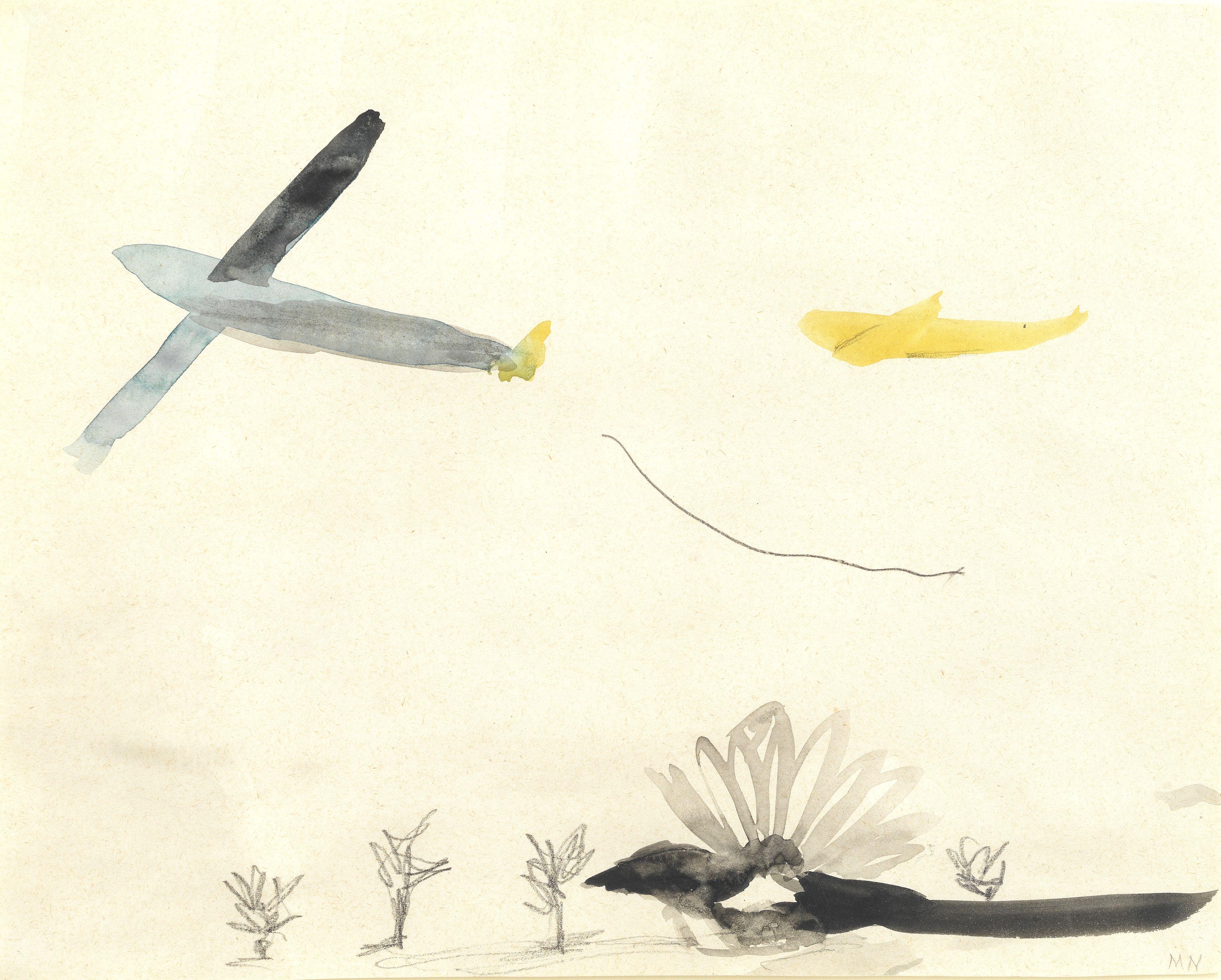 Mary Newcomb - Towrope Dropping Glider... Magpie Rushing Past