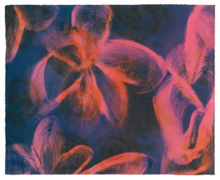 Marylyn Dintenfass - Deadly Beautiful: Oleander Ii