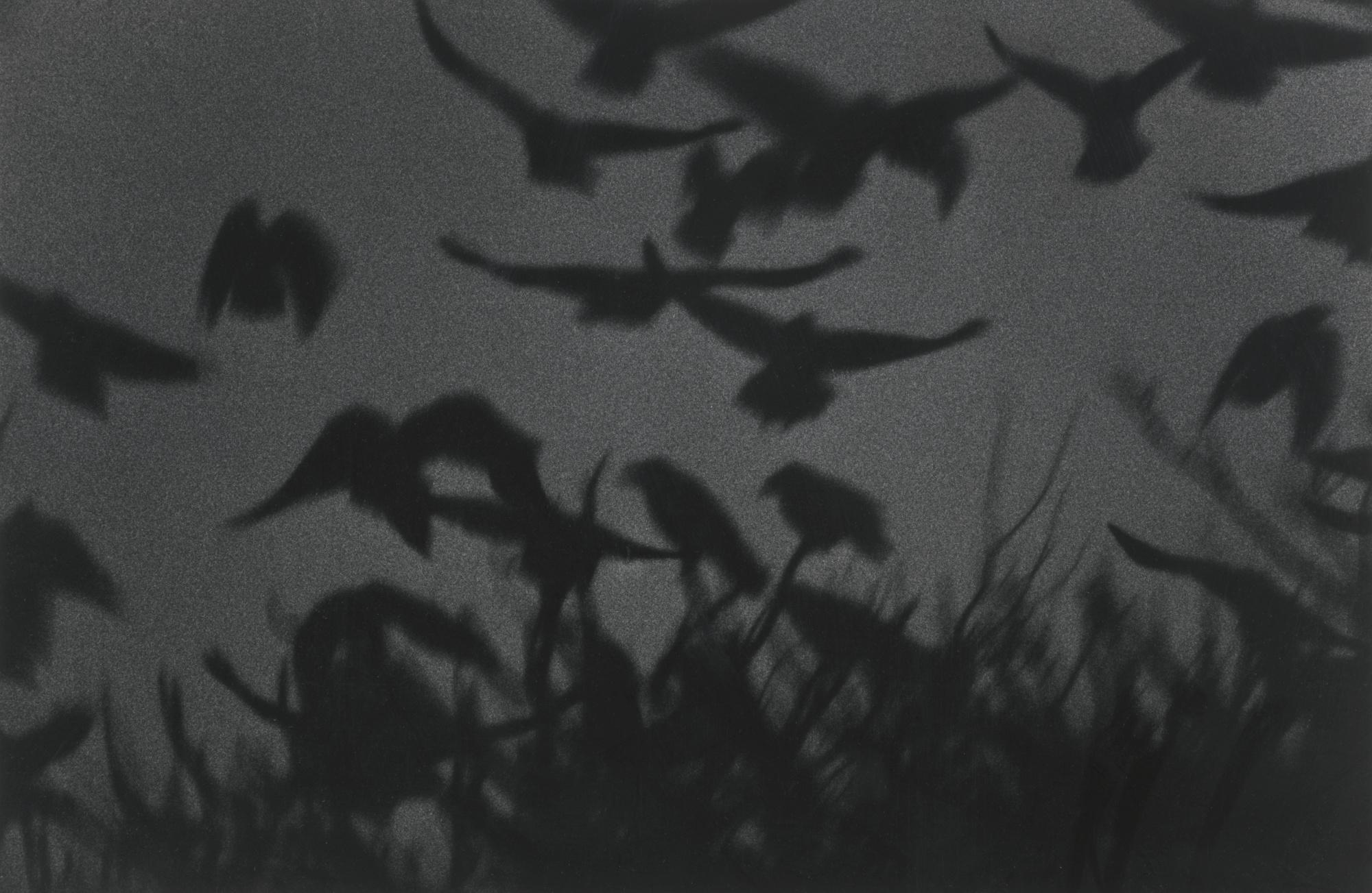 Masahisa Fukase - \'Kanagawa\' (From The Solitude Of Ravens)