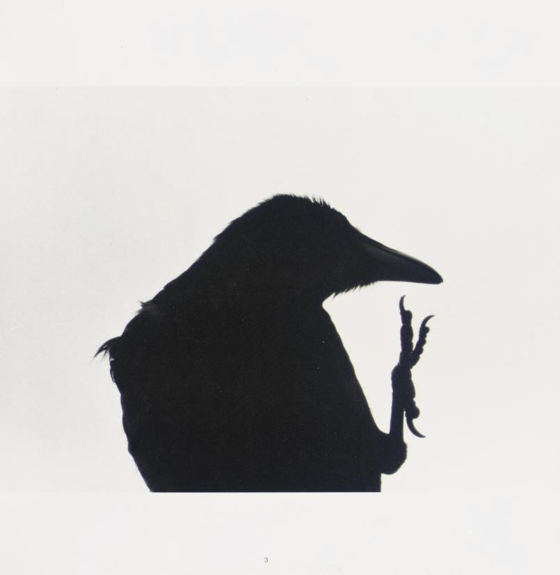 Masahisa Fukase - Karasu -- Ravens. Tokyo: Sokyusha, 1986.