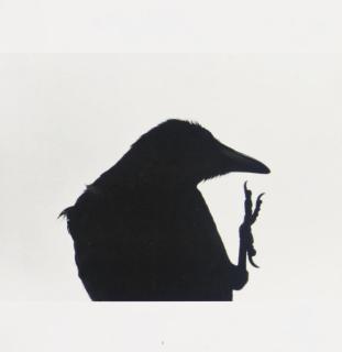 Masahisa Fukase - Karasu -- Ravens. Tokyo: Sokyusha, 1986.