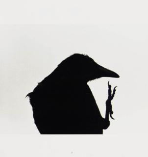 Masahisa Fukase - Karasu -- Ravens. Tokyo: Sokyusha, 1986.